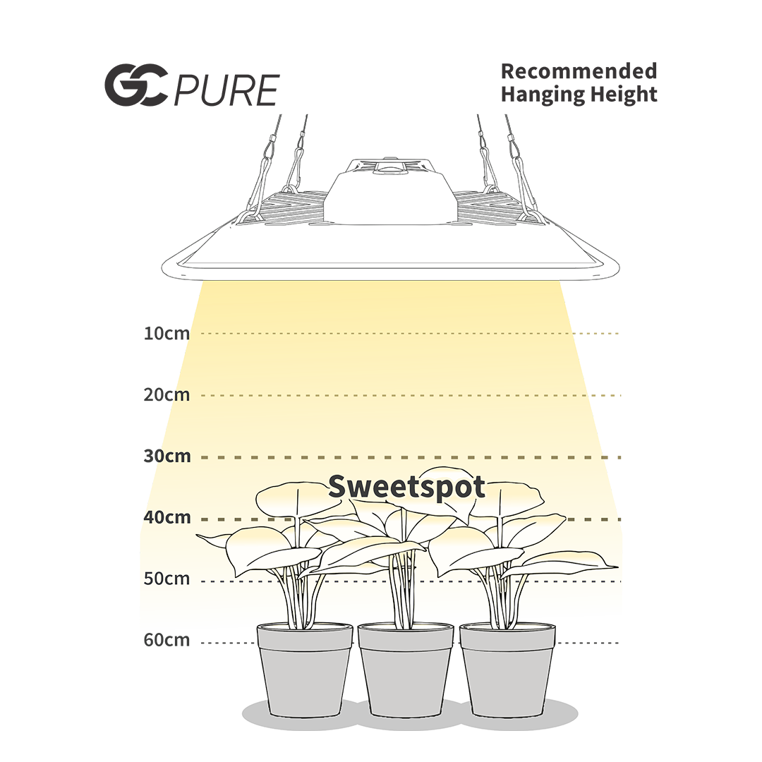 GC_pure Empfohlene Aufhängungshöhe bzw. Sweetspot