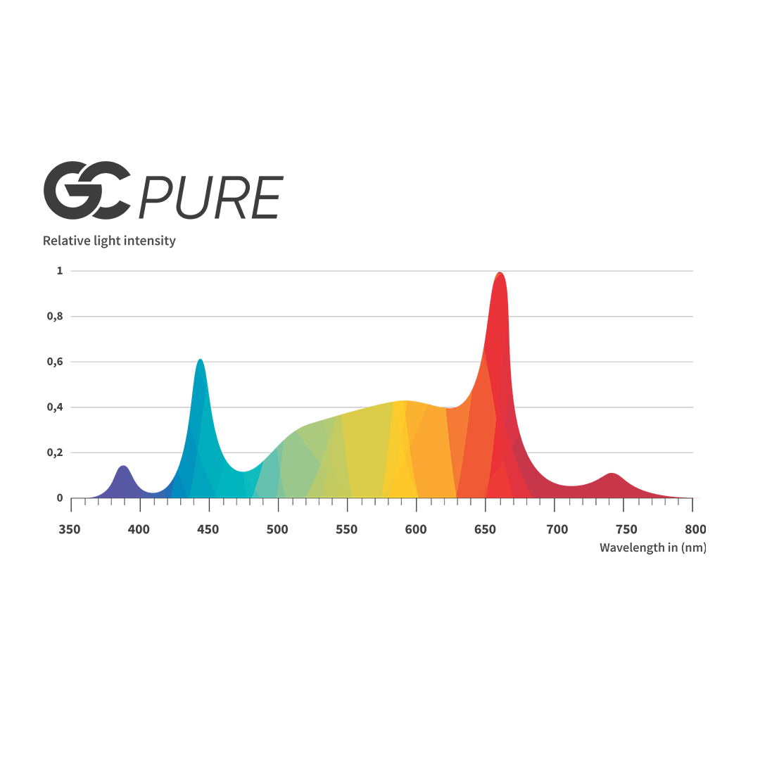 GC-pure Spektrum
