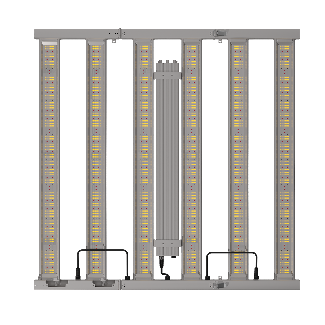 GC-FOLD-bottom (1)