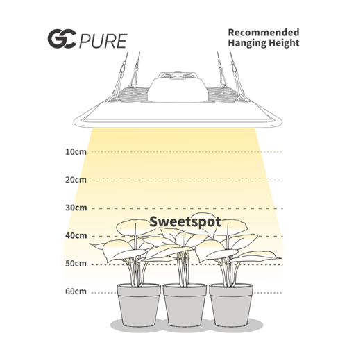 GC-PURE-Sweetspot