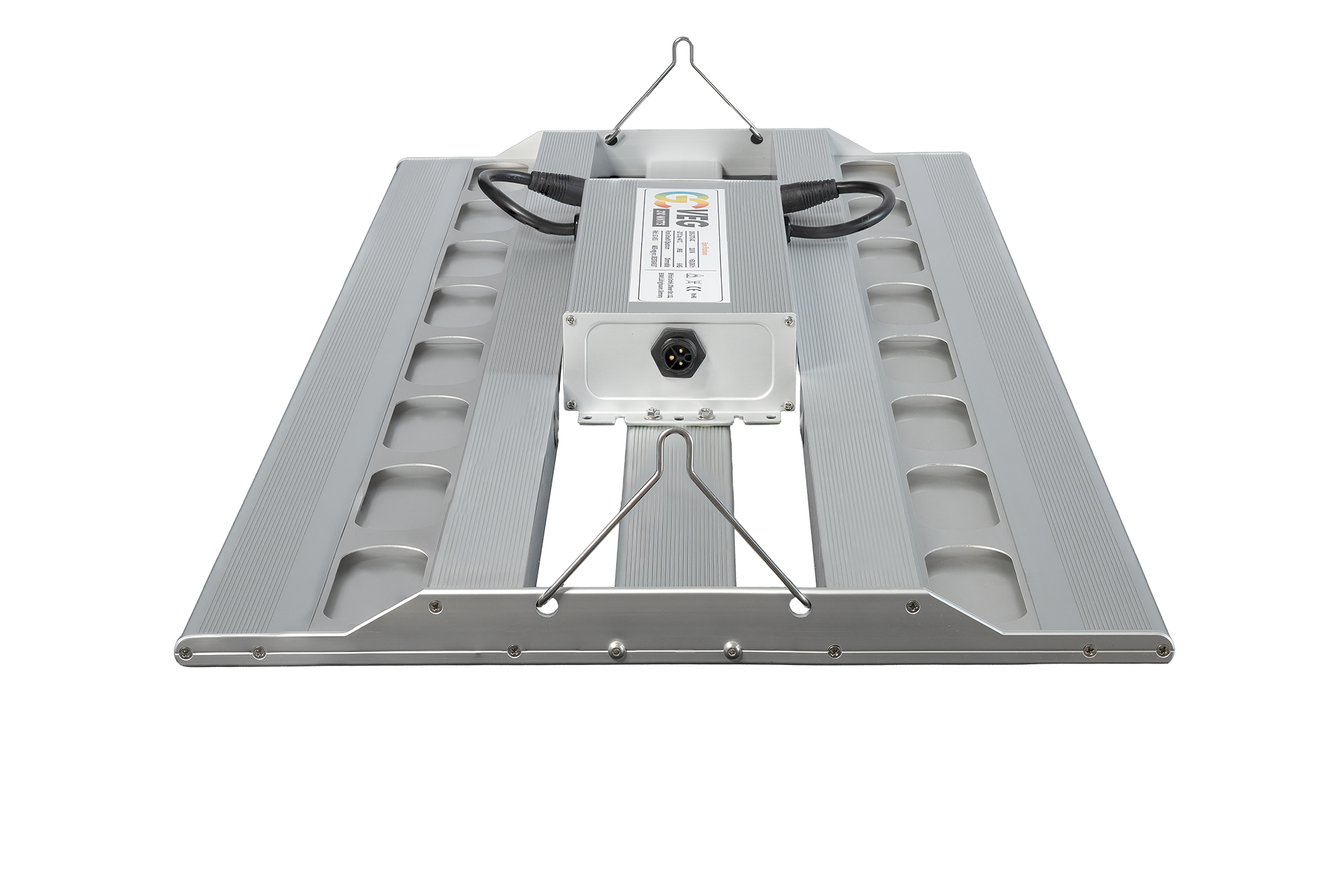 GC_VEG_Bird_Front