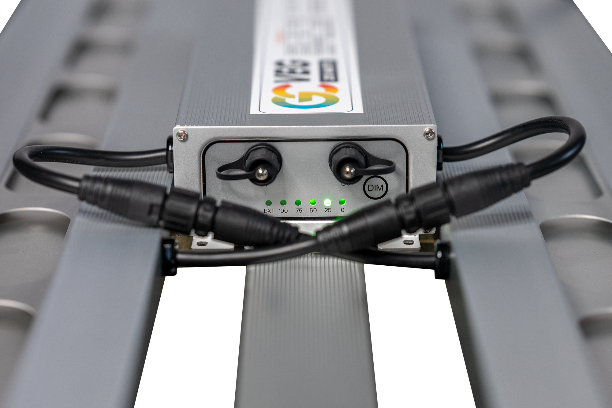 GC_VEG_Detail